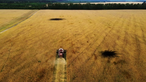 Aerial view of wheat harvester and explosion pits. Food crisis. War in Ukraine.