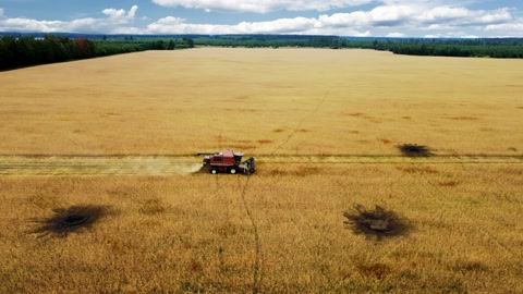 Aerial view of wheat harvester and explosion pits. Food crisis. War in Ukraine.