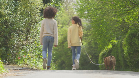 Rear View Of Two Children Walking Pet French Bulldog Dog Along Country Road