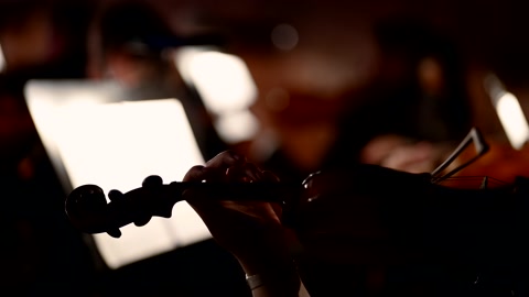 Silhouette of a classical musical instrument violin playing in an orchestra