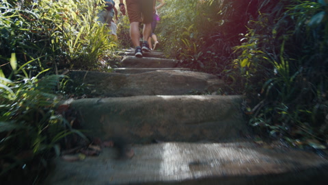 Family hiking in the tropical forest. Extended family with kids explore the