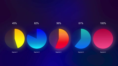 infographic pie chart 77