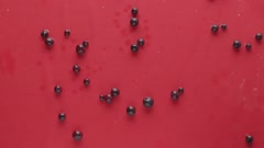 Fresh berries falling on wet surface in dark studio. [215328527] | 写真素材・ストックフォトのアフロ