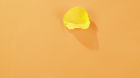 Yellow rose petal floats in water on orange background close-up, top view. Waves