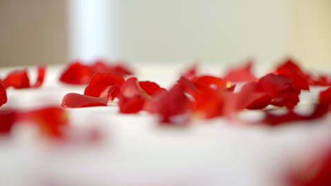 Dreamy rose petal spread on a bridal bed.