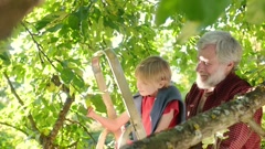 Preteen boy with his grandfather picking apples in orchard [241043623] | 写真素材・ストックフォトのアフロ