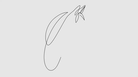 Self drawing animation of continuous line elegant horse head for company logo