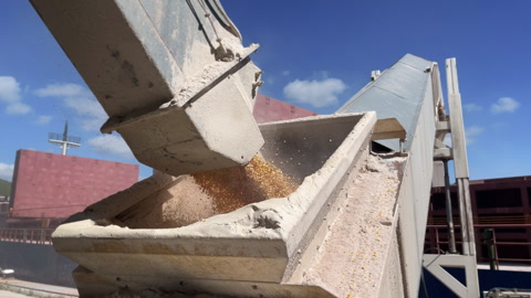 Grain trade, delivery by dry cargo ship by sea. Low angle close up silo belt