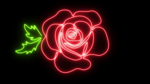 Self drawing animation one continuous line draw, logo, burning red rose