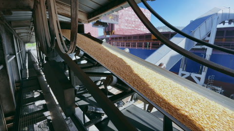 Grain trade, delivery by dry cargo ship by sea. Close up silo belt with grain