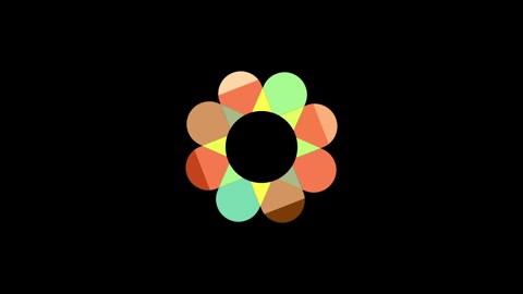 Colorful multicolored rotating flower for circular shaped logo animation. Animat