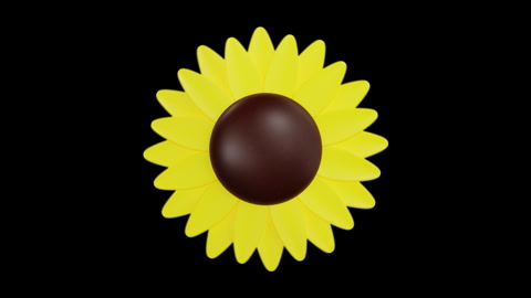 3D Animation of Sunflower Petal, Color Key, Alpha Channel