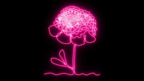 Self drawing animation one continuous line draw, logo, neon pink luminous peony