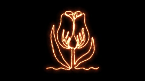 Self drawing animation one continuous line draw, logo, burning fire tulip flower