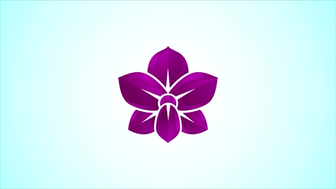 Colorful Orchid flower logo design template video animation