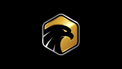 Negative space eagle head in a golden polygon shape. Eagle head logo animation