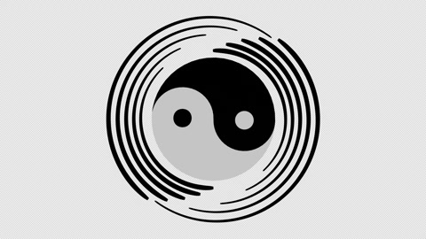 yin yang animation symbol for logo web icon. 4K footage