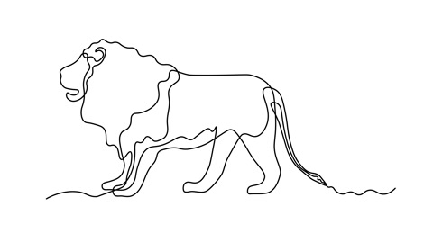 Abstract lion. Self drawing animation one continuous line draw, logo