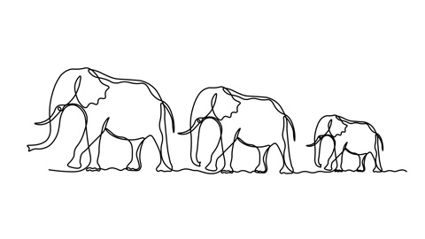 Abstract Elephant family. Self drawing animation one continuous line draw, logo